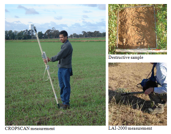 vegetation sampling